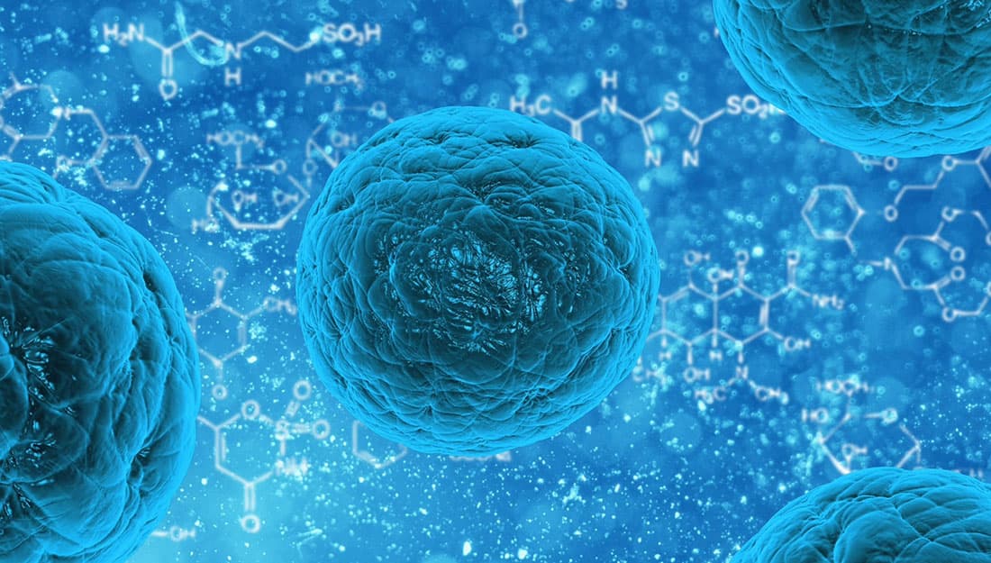 Stem Cell Therapy (MUSE Cells & Exosomes)