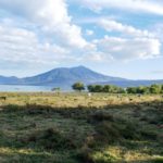 Back pain Testimonial Lake Chapala ChapalaMed